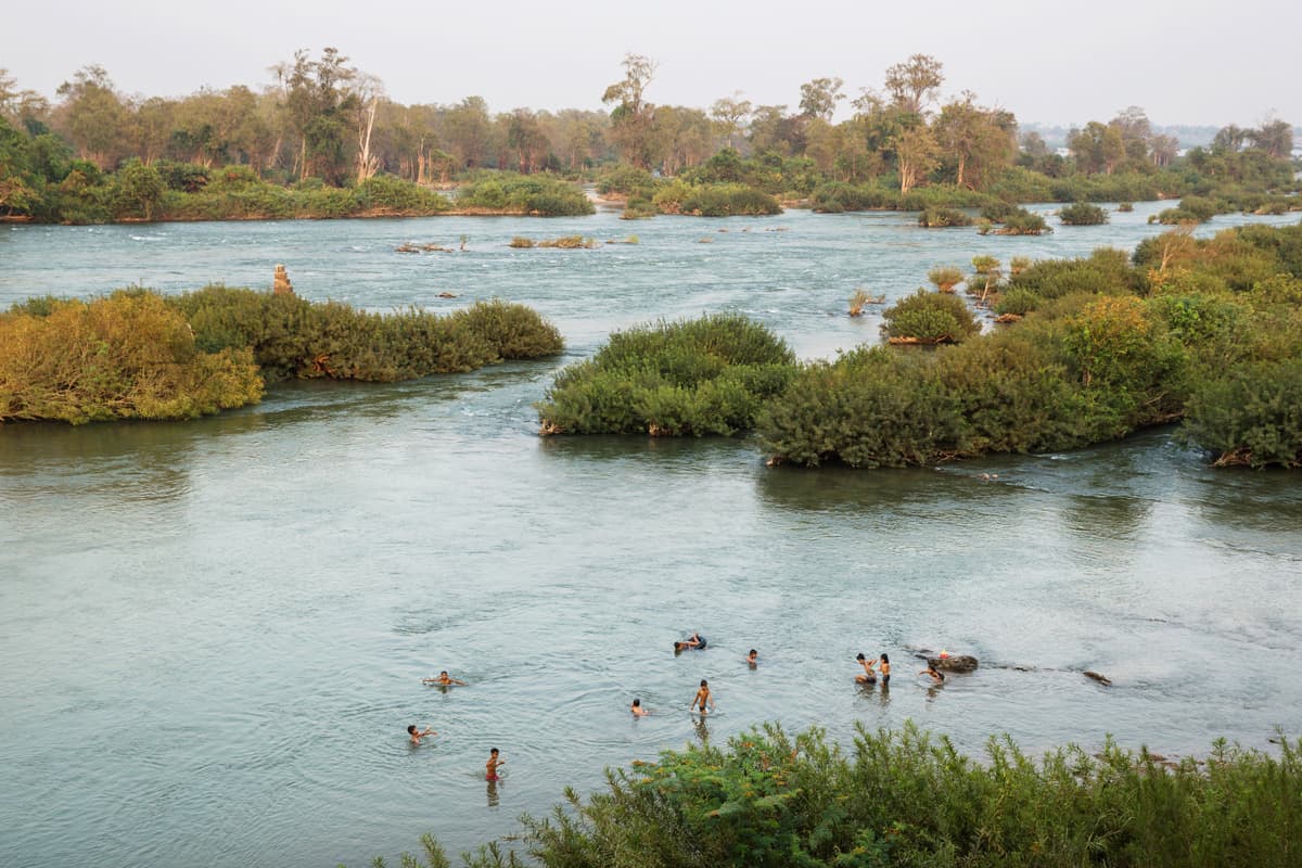 Coverbild Stromanbietercheck Banner (c) WWF