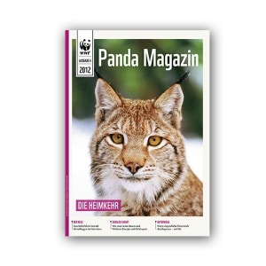 Pandamagazin Luchs