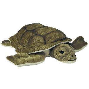 Plüschtier Schildkröte