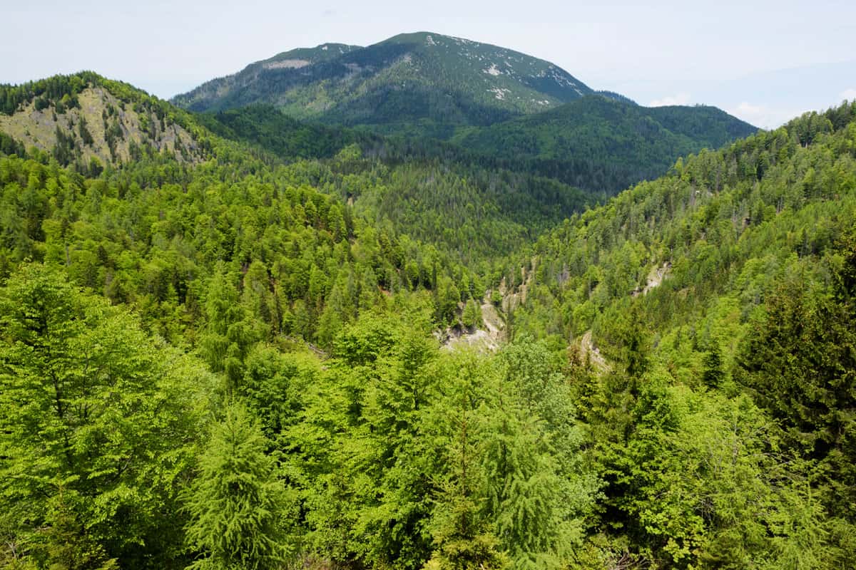 Sensengebirge Nationalpark Kalkalpen