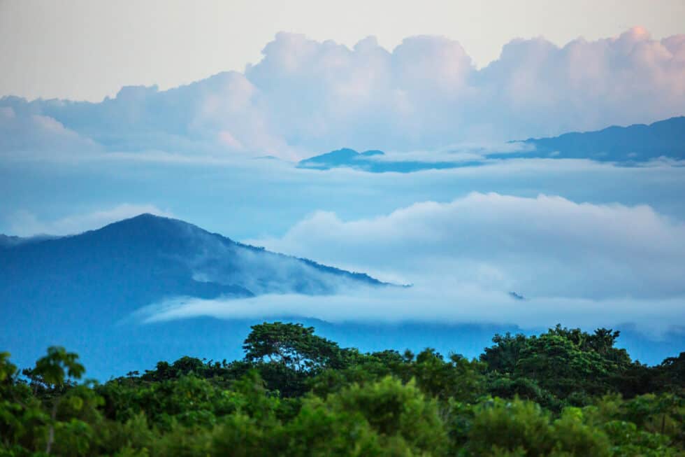 Amazonas WWF Österreich