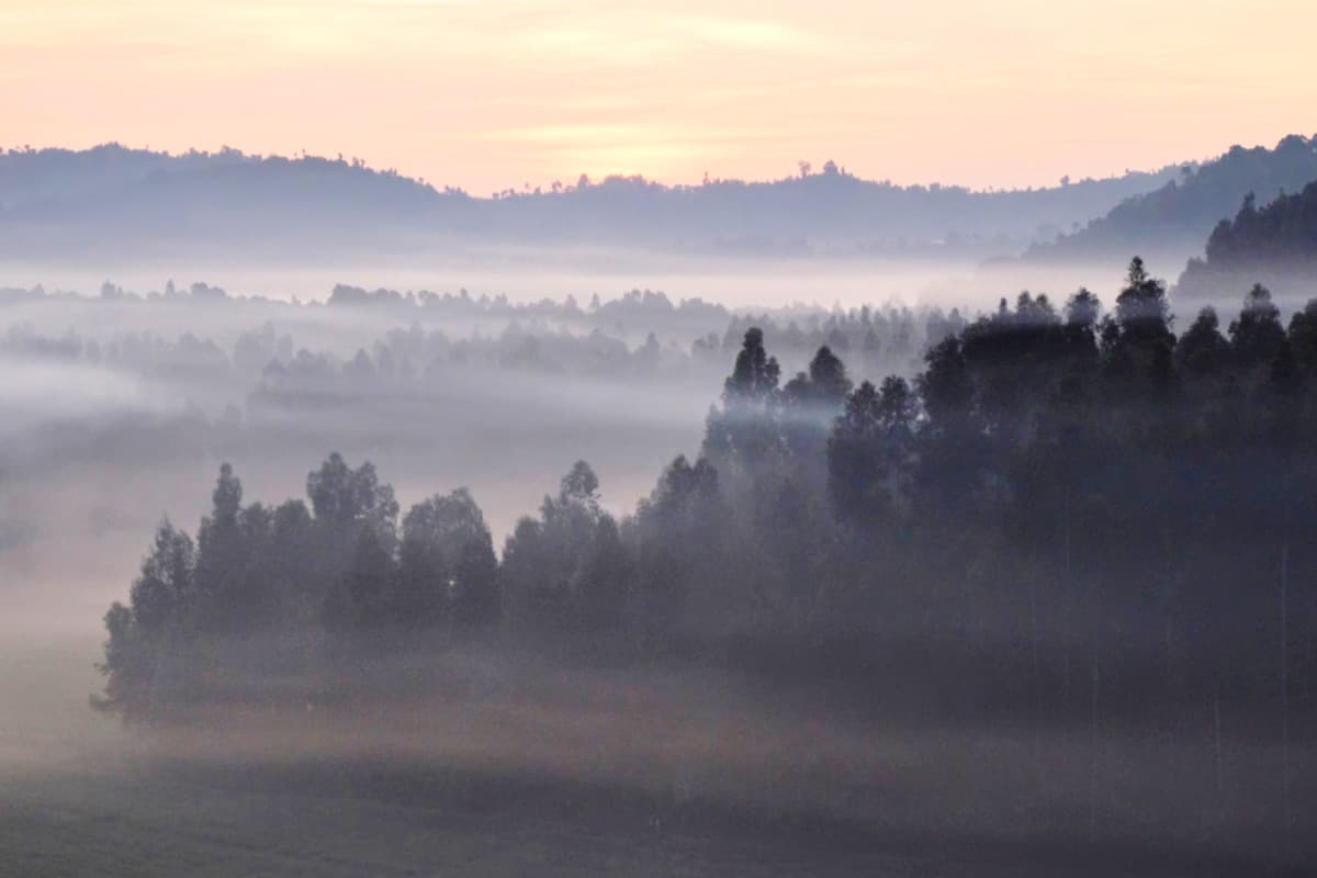 Sonnenaufgang über den Virunga-Bergen