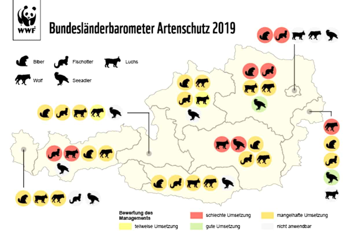 wwf-at_Bundesländerbarometer_Artenschutz2019_(c)WWF_AT Grafik Bundesländerbarometer