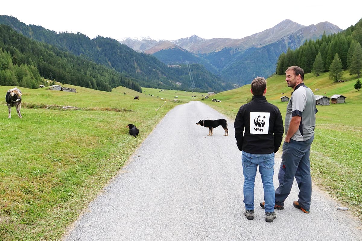 WWF Österreich Geschäftsführerin Andrea Johanides bei der Montage einer Wildtierkamera