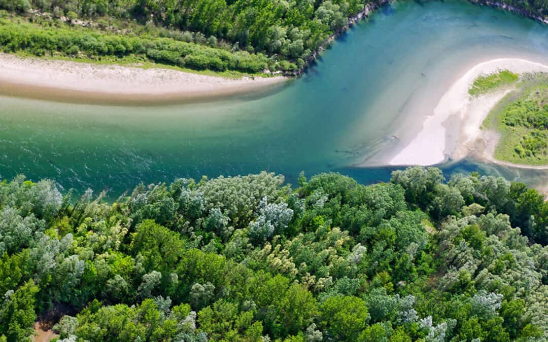 WWF-Erfolg: Ein neuer Seitenarm für die Drau