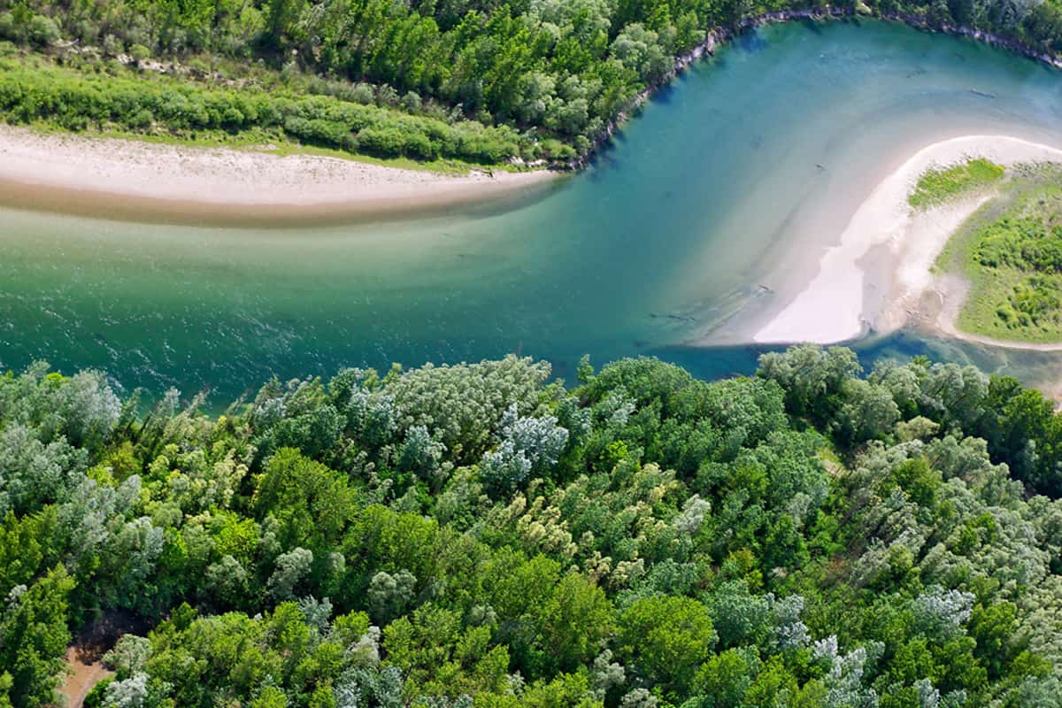 Auf dem Bild ist eine Biegung der Drau zu sehen. Das Wasser ist blautürkis und das Ufer ist dicht bewachsen.