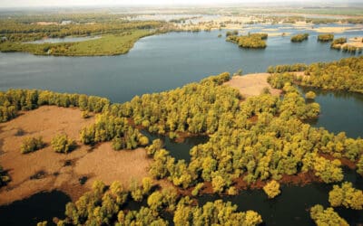 Komm mit zum Amazonas Europas: Wildnis ohne Grenzen