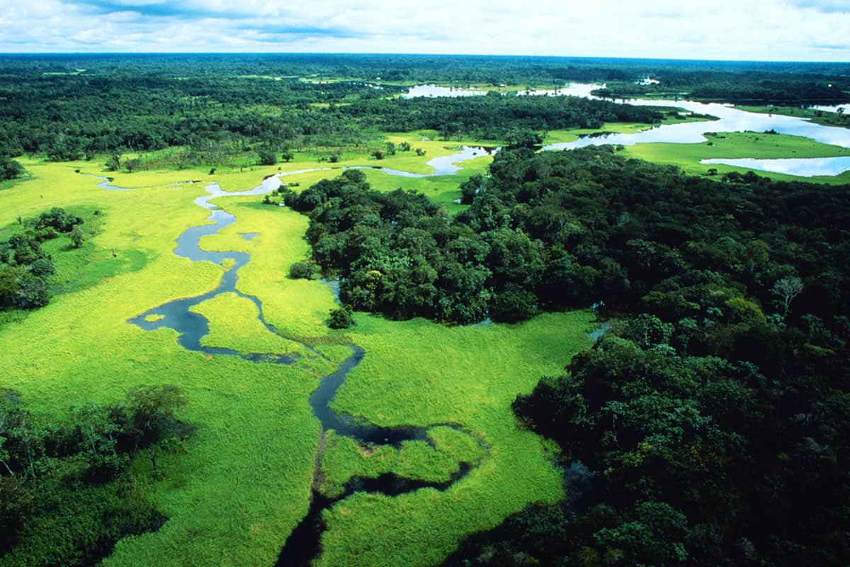 Coverbild Stromanbietercheck Banner (c) WWF