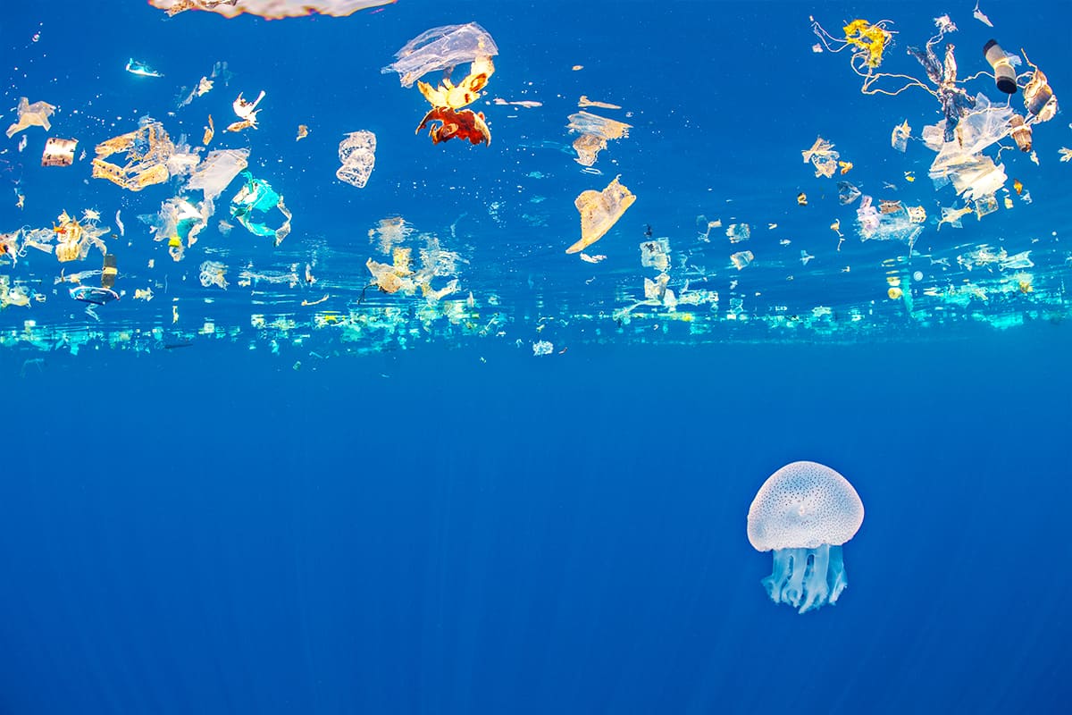 Qualle im Meer von Plastik umgeben