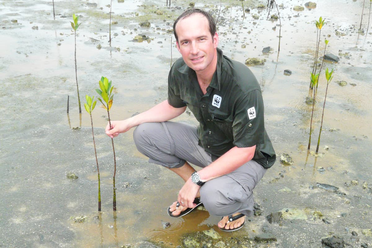 WWF-Experte Georg Scattolin pflanzt Mangroven