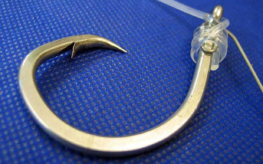 Schlaue Fischereitechnik: WWF stiftet 45.000 Euro für Erfinder