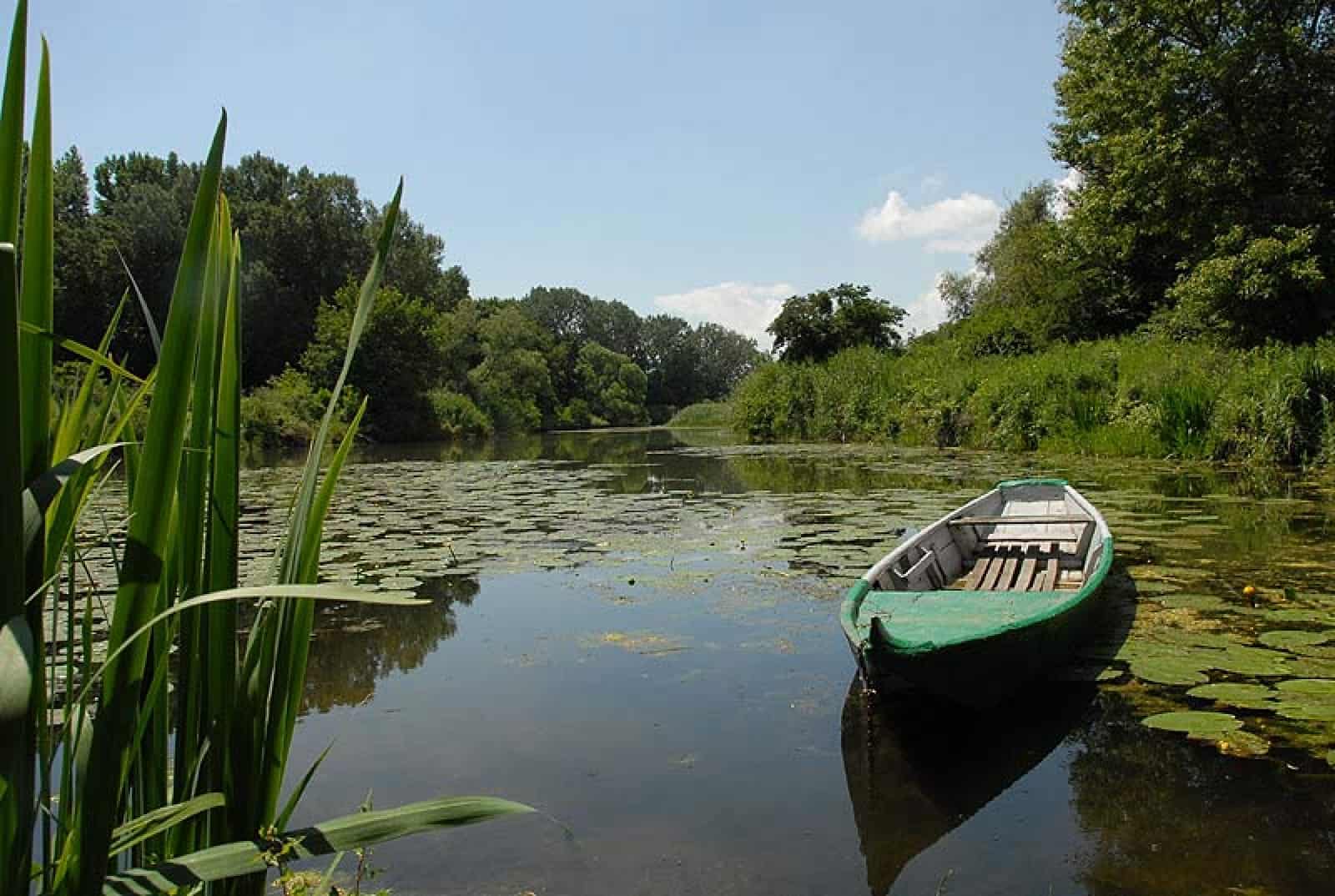 march-thaya-auen-boot