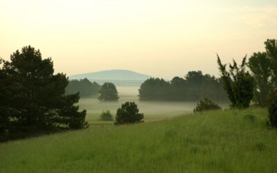 Ostösterreich sagt Ja zum 7. Nationalpark in Österreich