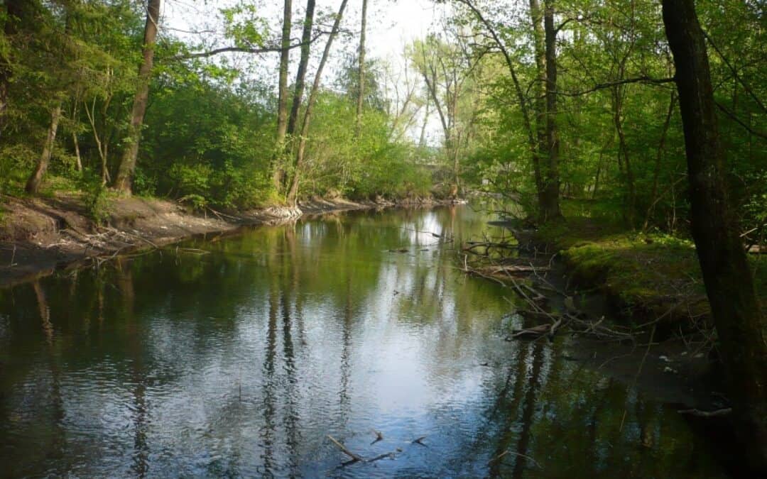Studie beweist: Murstaustufe in Graz ist ökonomisches Desaster