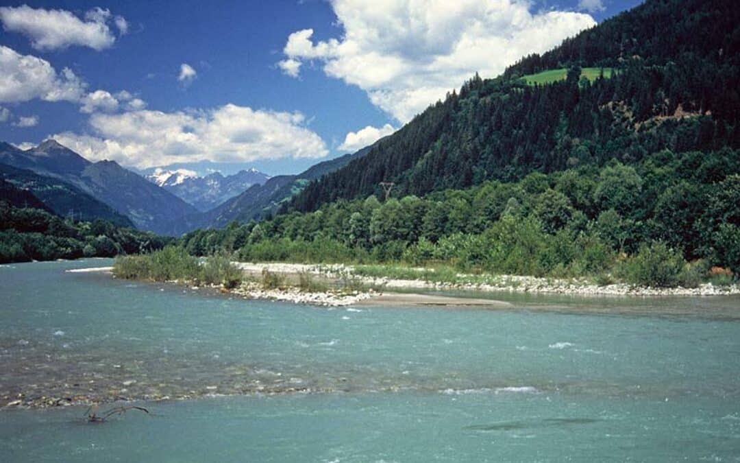 WWF-Studie: 50.000 Kilometer Flüsse in der EU könnten wiederhergestellt werden