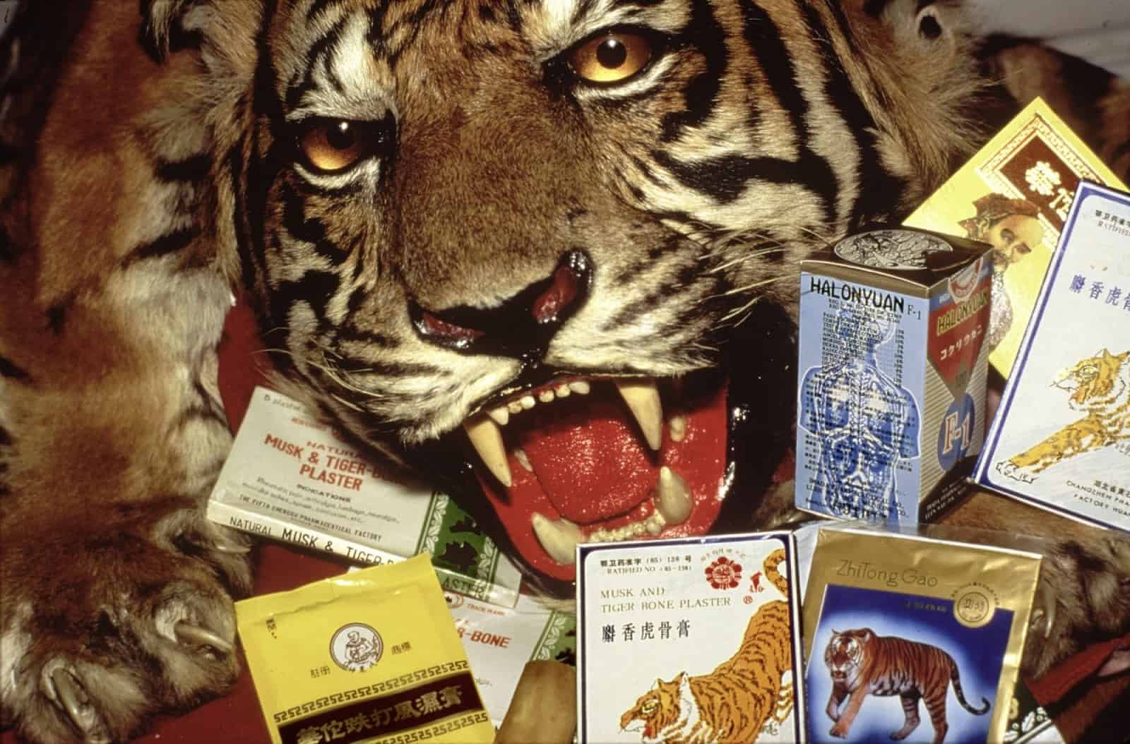 Tigerprodukte in der traditionellen chinesischen Medizin, © by Chinese medicines containing tiger and rhino parts. LAX, USA© Wil Luiijf, WWF-Canon