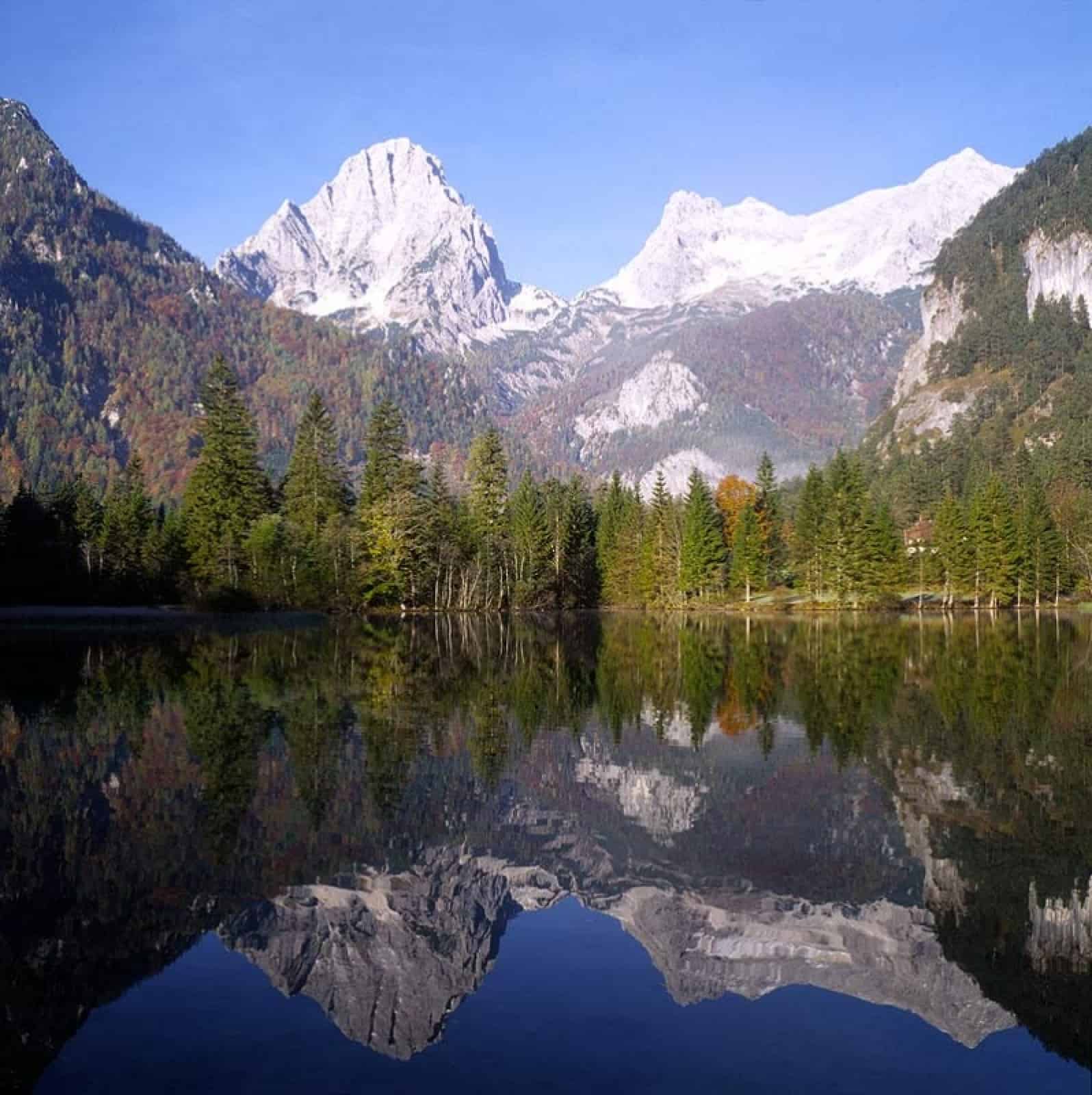 alpen-mit-wald-und-wasser-wwf-wildnis-exkursion-kalkalpen