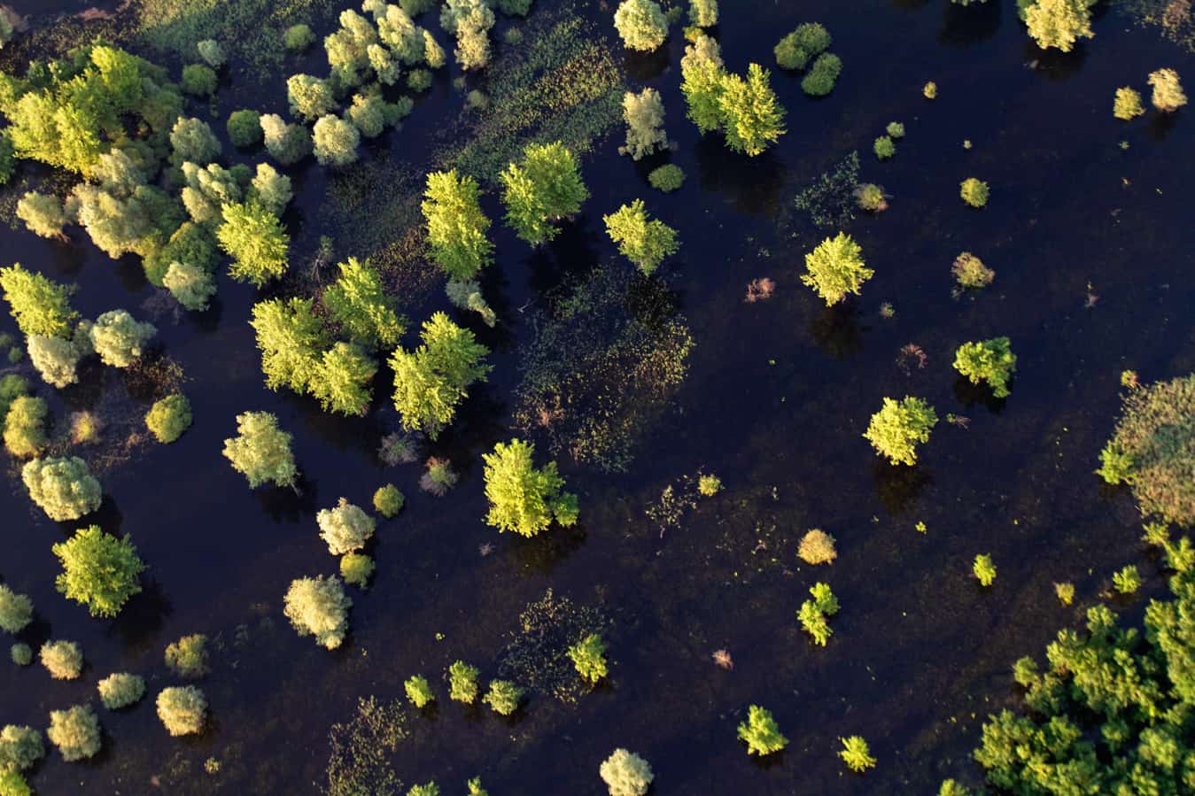 amazonas-europas-mur-drau-donau-bisphärenpark