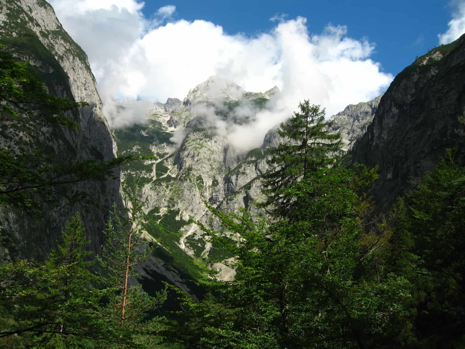 Alpine Wildnis