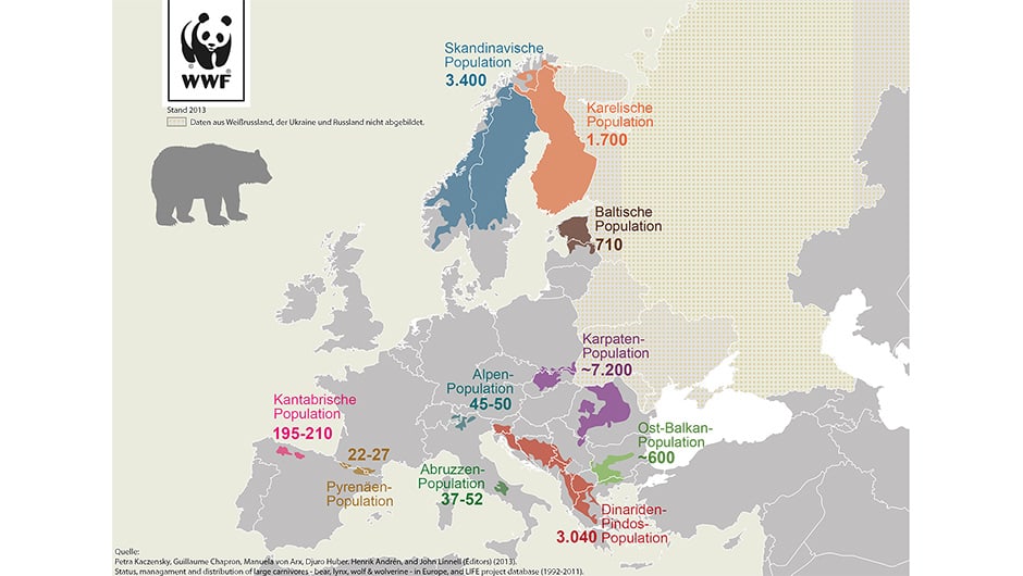 Wo in Europa gibt es die meisten Bären?