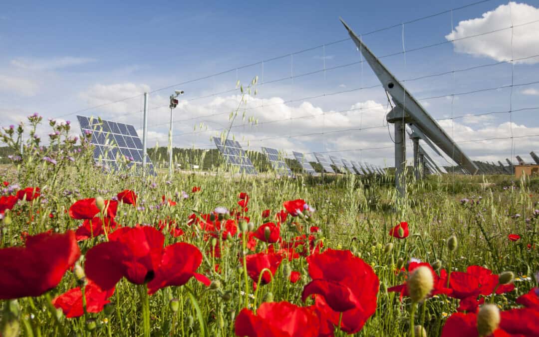 Wie Klima schützen?