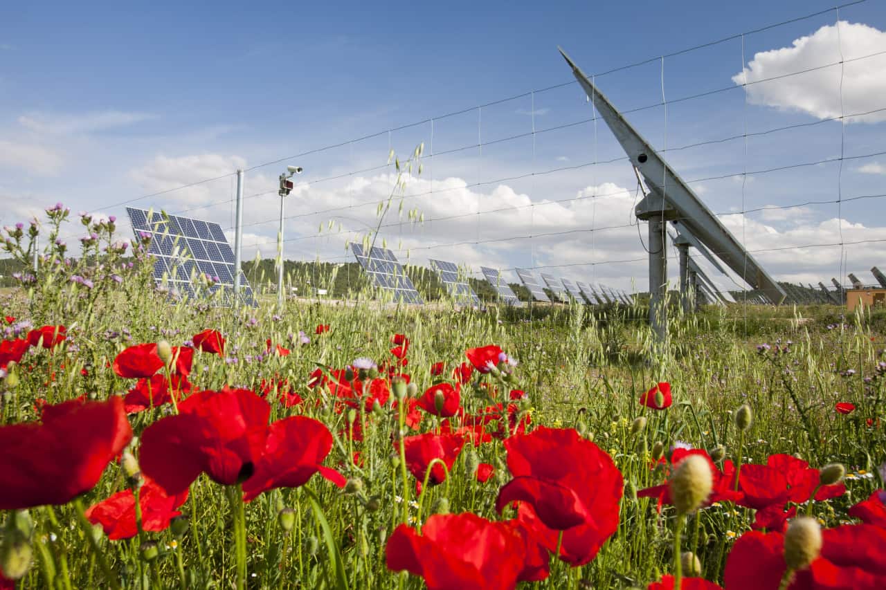 wie-klima-schueten-erneuerbare-energie