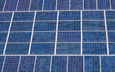 WWF Österreich macht Rettungsvorschläge für Klimastrategie