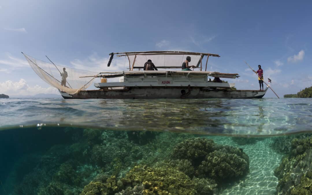 Kritik am MSC-Gütesiegel: So steht der WWF zu diesem Thema