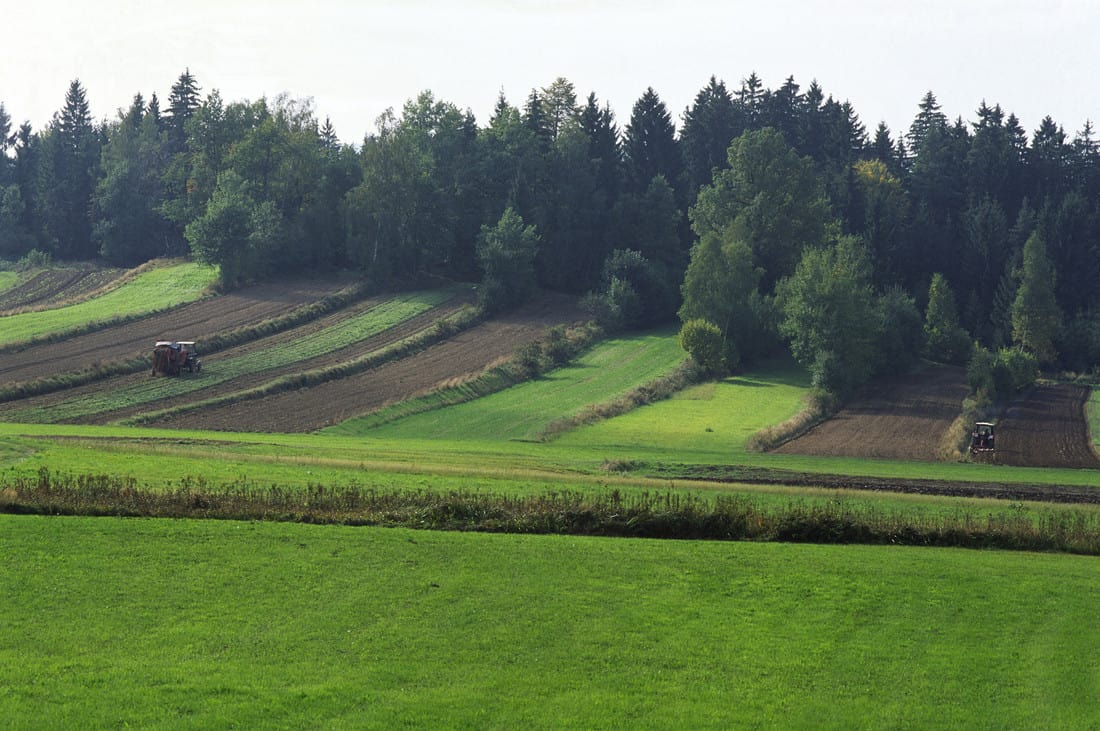 humusaufbau-felder-und-wiesen-und-wald