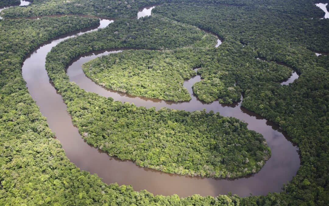 Fotoalbum Amazonas Regenwald