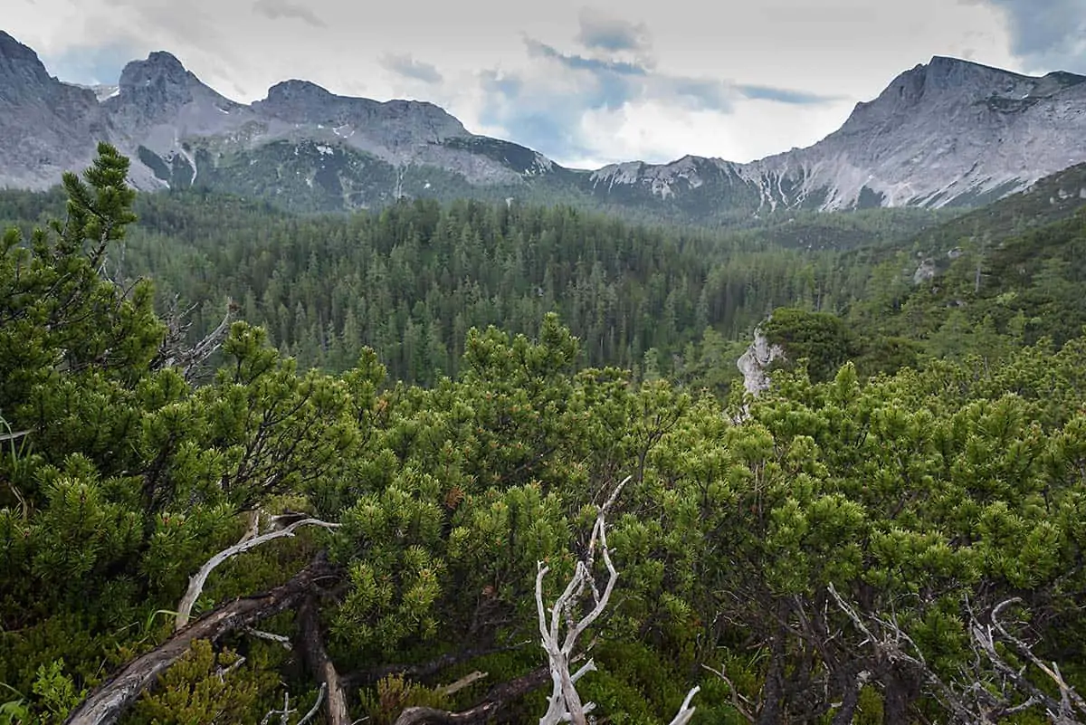 Kräuterin, Hochschwabgruppe , © by Matthias Schickhofer Kräuterin, Hochschwabgruppe , © by Matthias Schickhofer