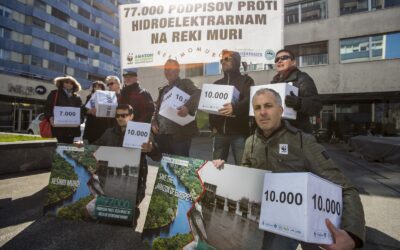 Mehr als 77.000 Stimmen für die Mur!