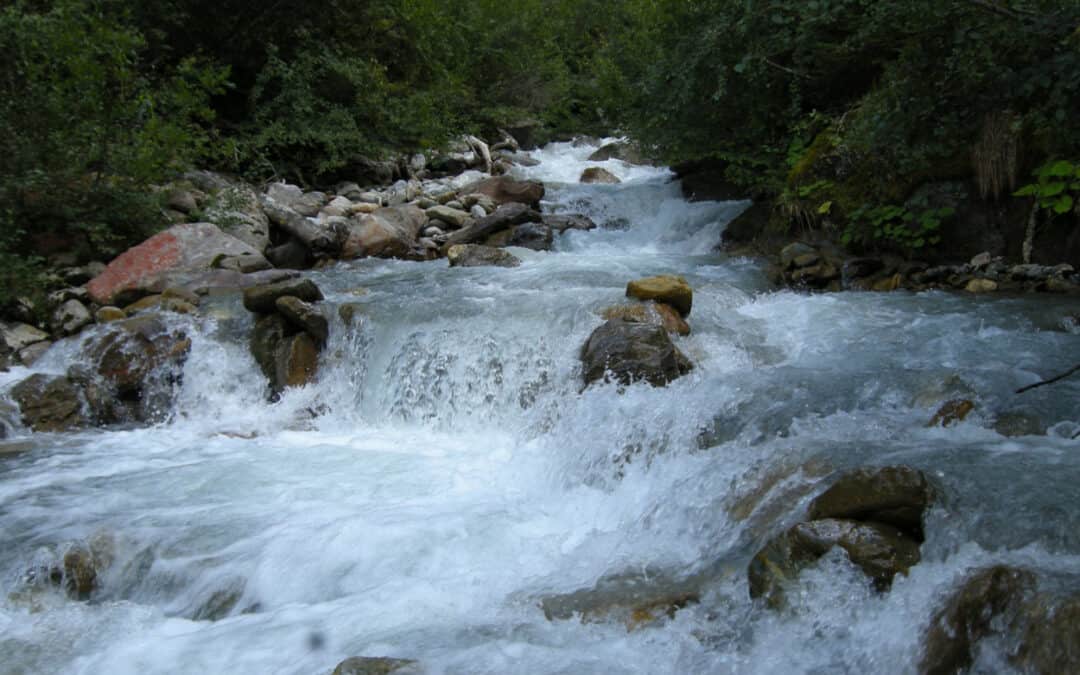 Unser Wasser ist in Gefahr