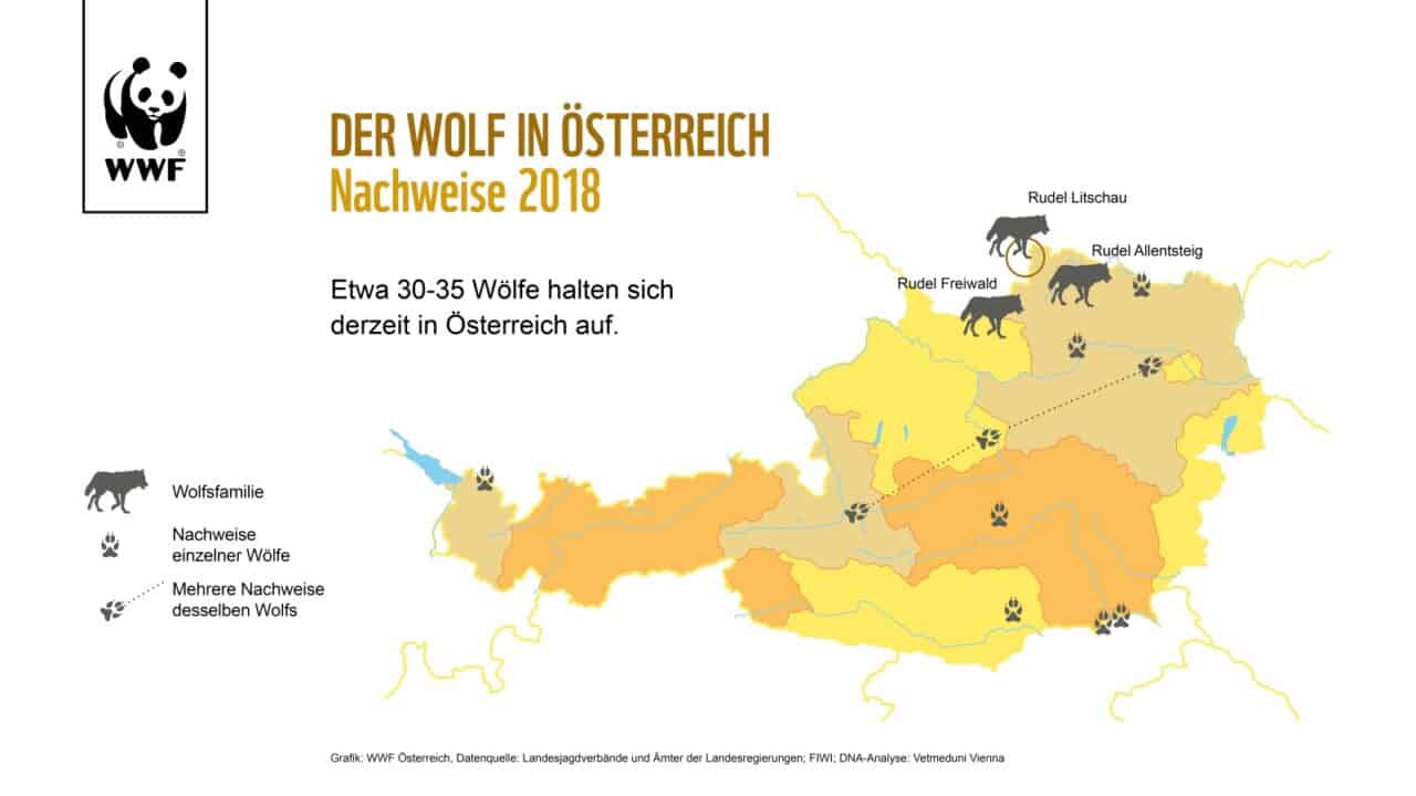 Karte: Nachweise von Wölfen in Österreich - WWF Österreich