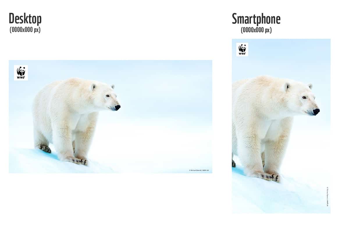 WWF-Hintrgrundbild für Videokonferenzen, optimiert für Desktop und Smartphone, © by Richard Barrett / WWF-UK WWF-Hintrgrundbild für Videokonferenzen, optimiert für Desktop und Smartphone, © by Richard Barrett / WWF-UK