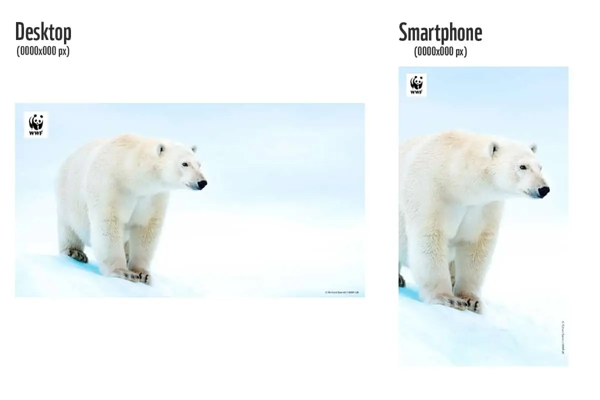 WWF-Hintrgrundbild für Videokonferenzen, optimiert für Desktop und Smartphone, © by Richard Barrett / WWF-UK WWF-Hintrgrundbild für Videokonferenzen, optimiert für Desktop und Smartphone, © by Richard Barrett / WWF-UK