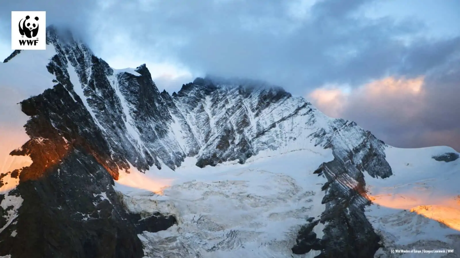 Nationalpark Hohe Tauern als WWF-Hintergrundbild für Videokonferenzen © Wild Wonders of Europe Grzegorz Lesniewski / WWF