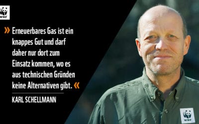 WWF: Keine Luftschlösser beim erneuerbaren Gas