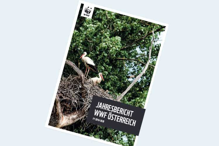 Coverbild Stromanbietercheck Banner (c) WWF