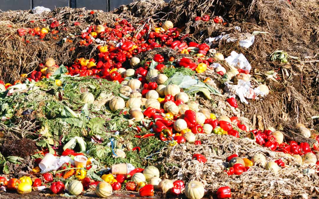 Tag der Lebensmittelrettung: WWF fordert Fünf-Punkte-Plan gegen Verschwendung