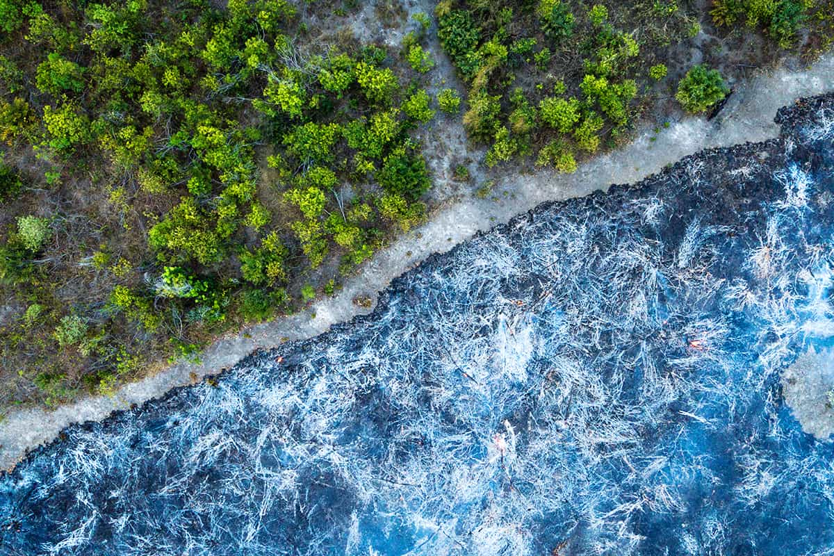 Luftaufnahme eines Waldes mit einer Hälfte gesund und einer Hälfte brennend in Brasilien