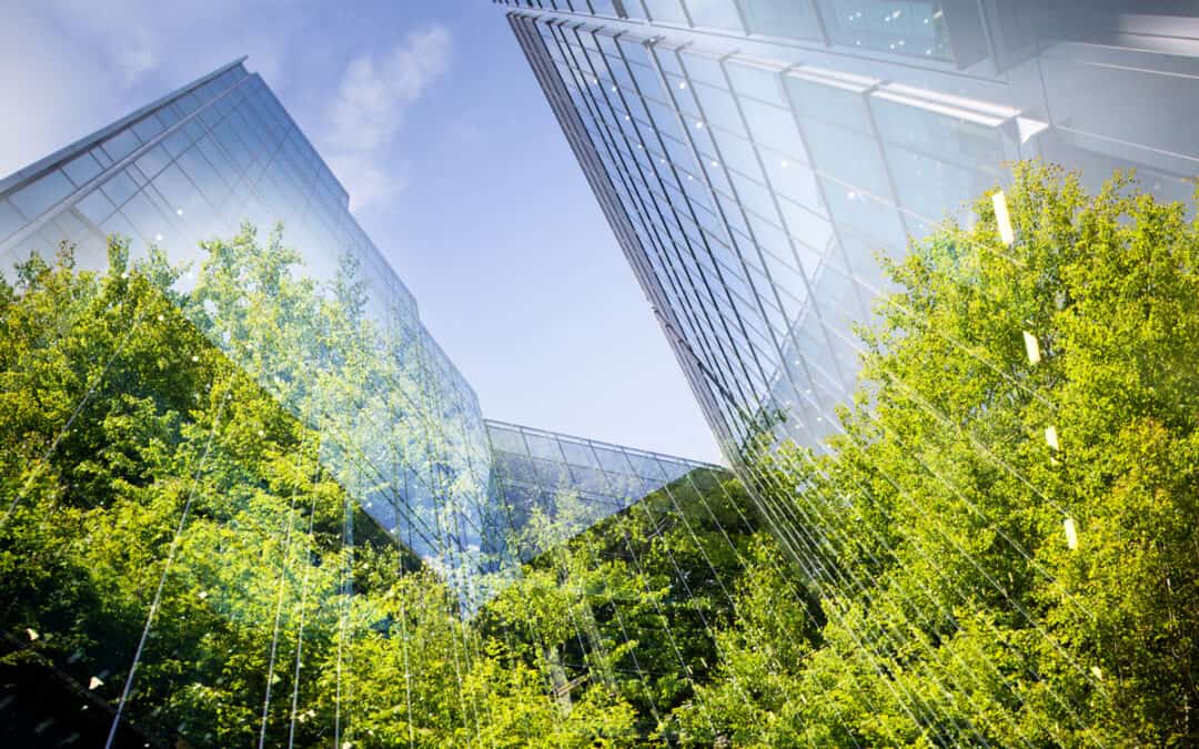 50 Zukunftsprojekte für die Bundesregierung