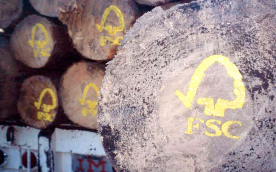 Tipps: Holz & FSC