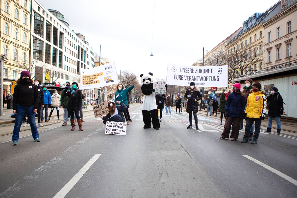 Coverbild Stromanbietercheck Banner (c) WWF