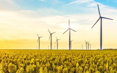 WWF begrüßt Verantwortung des EU-Parlaments für Europäische Klimapolitik