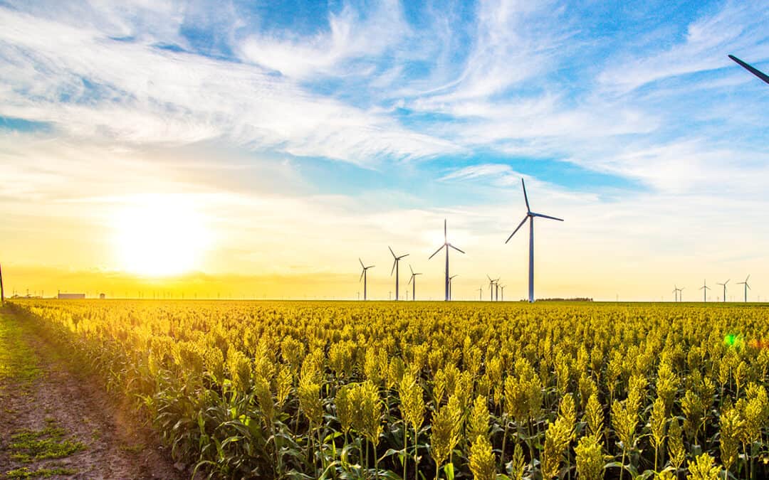 Stromanbieter wechseln: Wir beantworten die wichtigsten Fragen