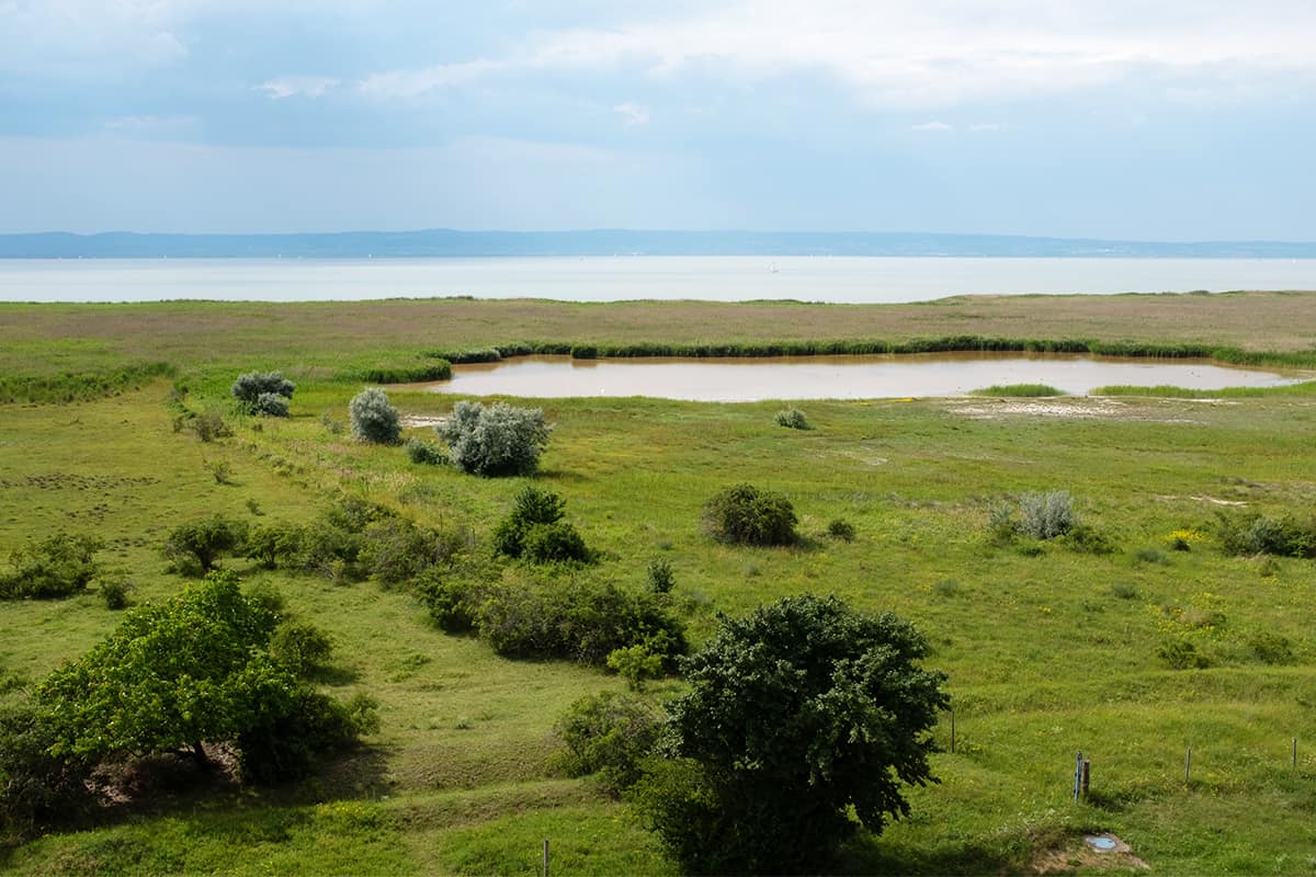 Neusiedlersee