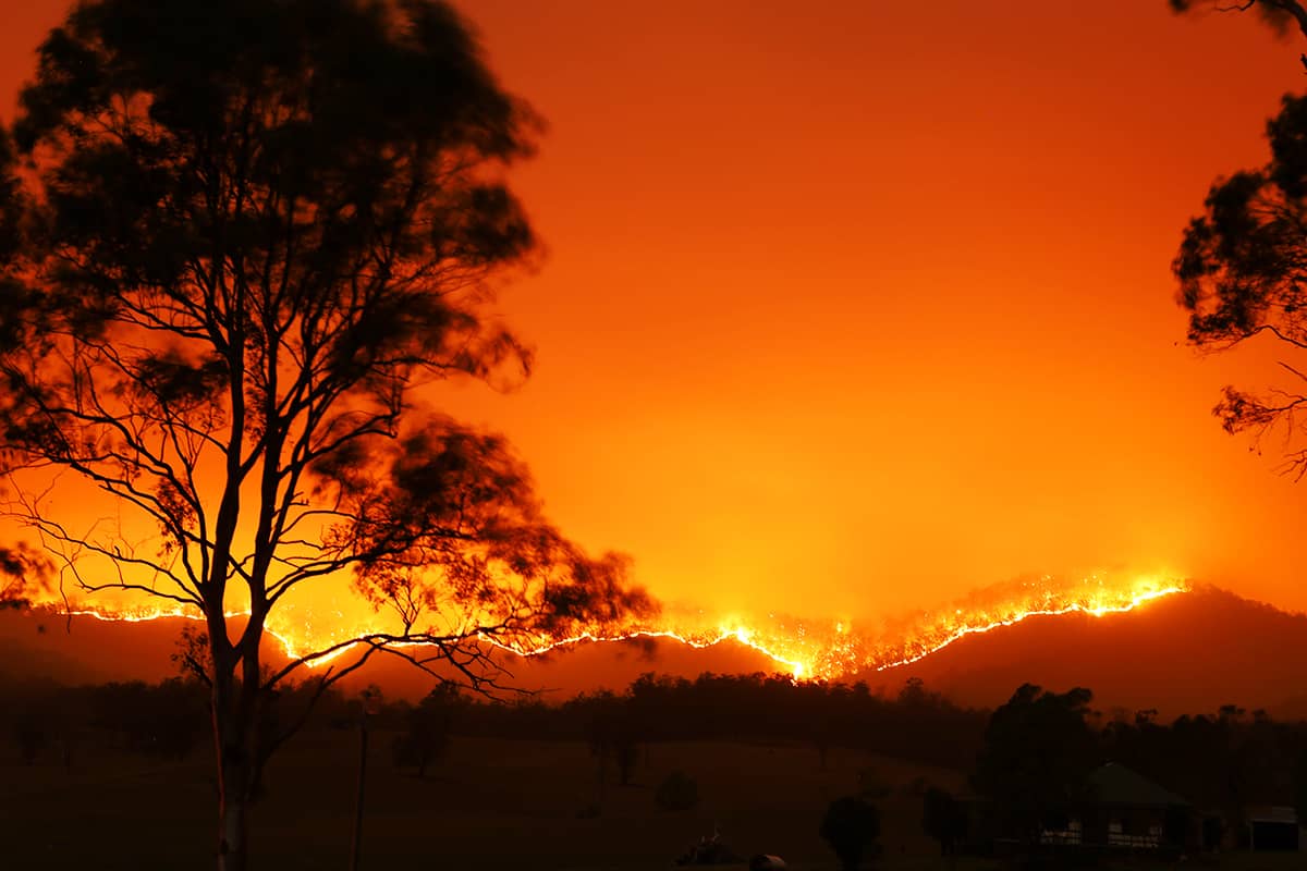 Waldbrand