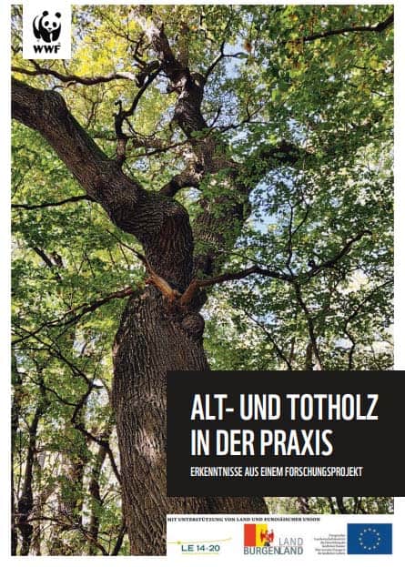 Forschungsergebnisse Alt- und Totholz in der Praxis