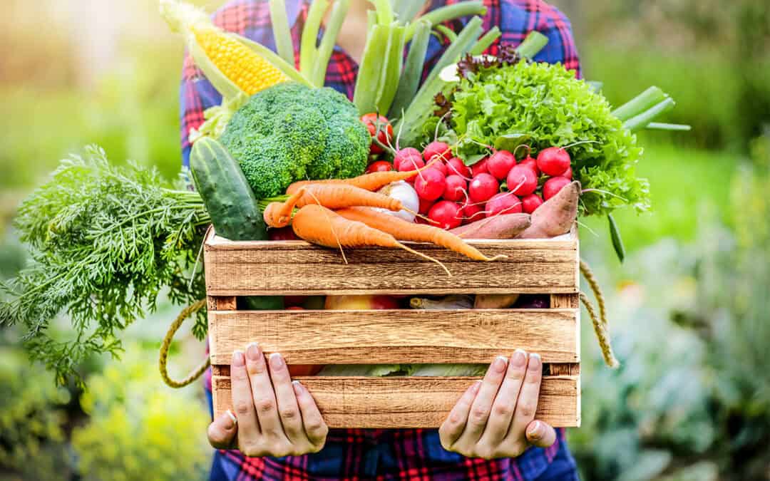 Gemeinsamer Appell: Einzelhandel und WWF fordern Maßnahmen für pflanzenreiche Ernährung